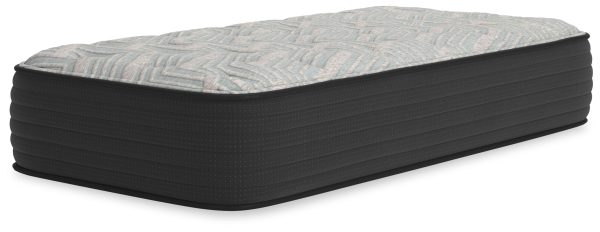 Palisades Plush - Mattress Sale