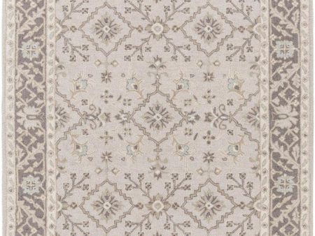 Surya Castille 6  X 9  Area Rug Hot on Sale