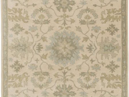 Surya Caesar 4  Square Area Rug Cheap