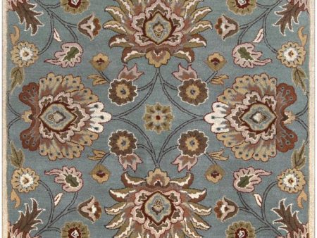 Surya Caesar 9 9  Square Area Rug For Cheap