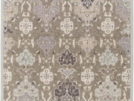 Surya Castille 4  X 6  Area Rug Cheap