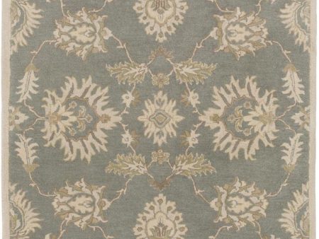 Surya Caesar 5  X 8  Area Rug Sale