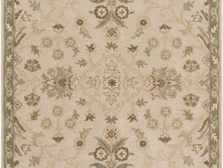 Surya Caesar 5  X 8  Area Rug Supply