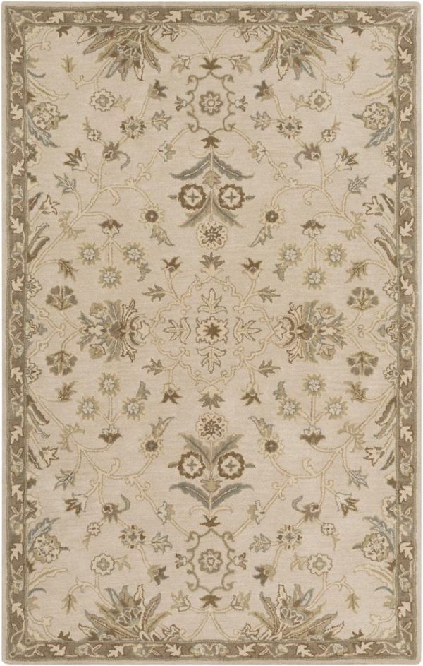 Surya Caesar 5  X 8  Area Rug Supply