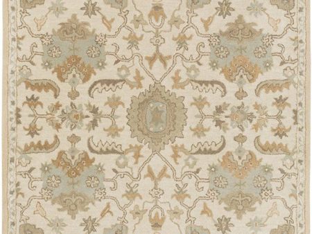 Surya Caesar 4  X 6  Area Rug Online now