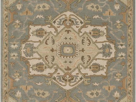 Surya Caesar 5  X 8  Area Rug For Cheap