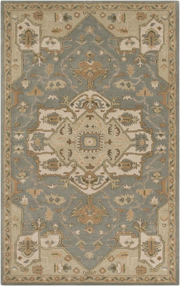 Surya Caesar 5  X 8  Area Rug For Cheap