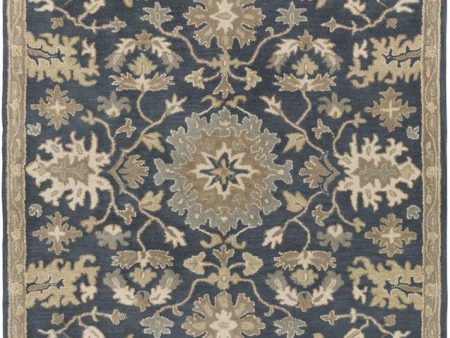 Surya Caesar 5  X 8  Area Rug Online Sale