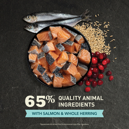 ACANA Bountiful Catch Salmon Catfish and Herring Dry Cat Food Fashion