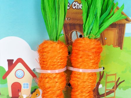 A & E Cage Loofah Carrots Small Animal Toy Online