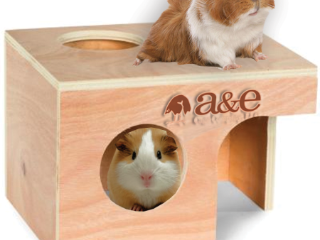 A & E Cage Pet Hut Hideouts Guinea Pig Hut Large Fashion